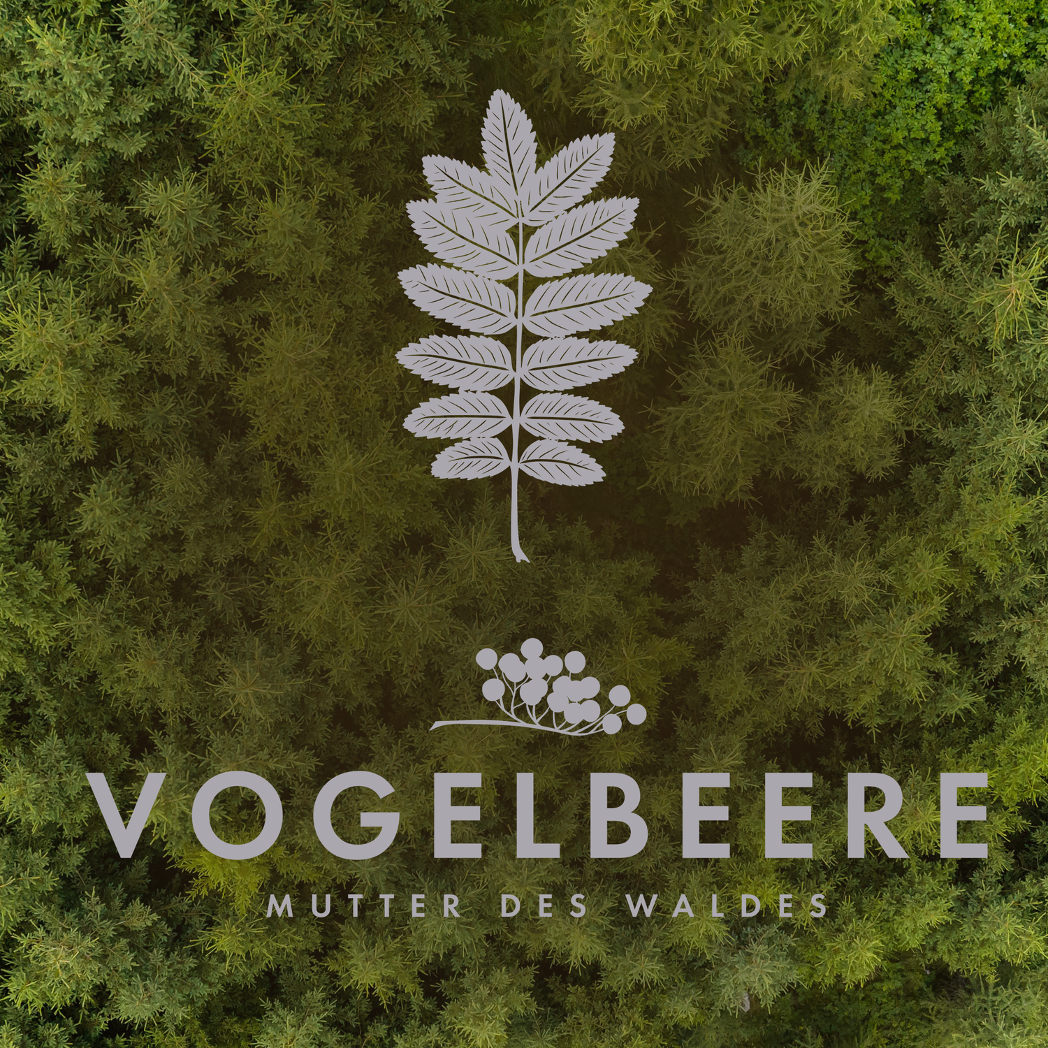 Vogelbeere - Mutter des Waldes